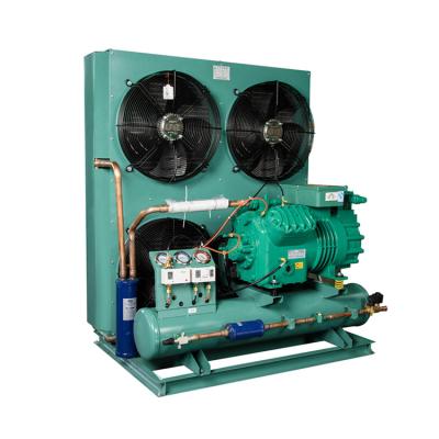 China Refrigeration Parts Customization Refrigeration Unit Industrial Air Cooled Condensing Unit for sale