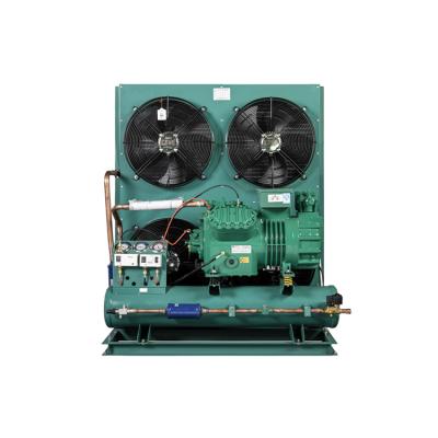 China Refrigeration Parts Hot Sales Low Temperature Walk In Cooler Refrigeration Condensing Unit for sale