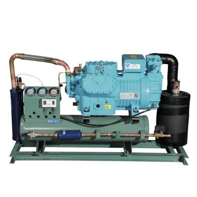 China Refrigeration Parts Chinese Manufacturers Kitchen Equipment Cold Freezer Compressor Unit for sale