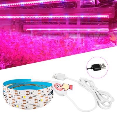 China Seed Starting Vegetable Greenhouse Fruit Seeds Flower Help Fill Lights USB Smart Touch Dimming Full Spectrum Led Grow Light Strip for sale