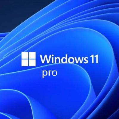 China 100% Working Genuine Windows 11 Pro Key 100% Activation Online Win 11 Professional Key Retail Send by Email for sale