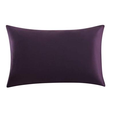 China Customizable 100% luxury 19mm 22mm mulberry silk pillowcase 25mm viable wholesale with zipper for sale