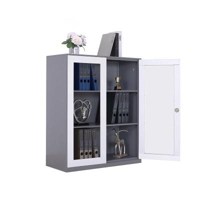 China Knock Down Steel Half Height Swing Door Glass Door Storage Filing Cabinet For Office for sale