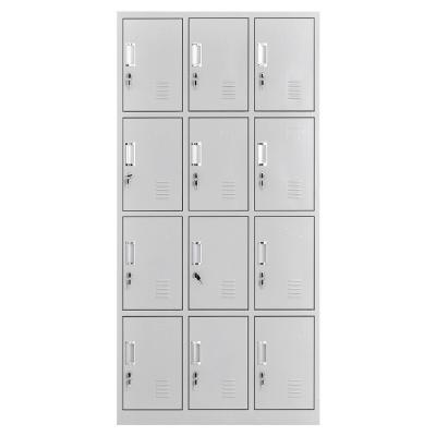 China Knock Down Modern Design Steel Furniture 12 Door Metal Lockers Mirror Storage Locker for sale