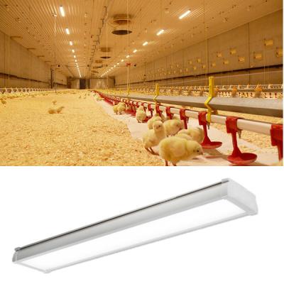 Chine Tri ferme avicole de lumière de preuve de l'anticorrosion LED allumant l'approbation de l'UL DLC de RoHs de la CE IP65 à vendre