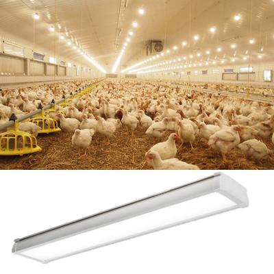 China Pig Barn 5000k IP65 Tri Proof Led Light Fixture AC85-265V 90% Driver Efficiency for sale