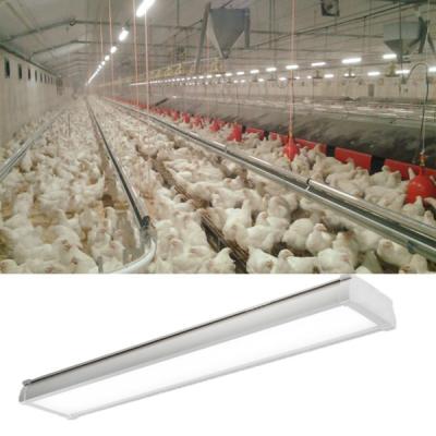 China Kein Tri Beweis-Licht 4ft Dimmable-Versions-LED 20/30/40/60 Watt für Geflügelfarm zu verkaufen