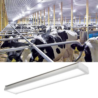 China Chicken Farm Lighting Led Tri Proof Lamp , Led Vapor Proof Light Fixture Ip65 for sale