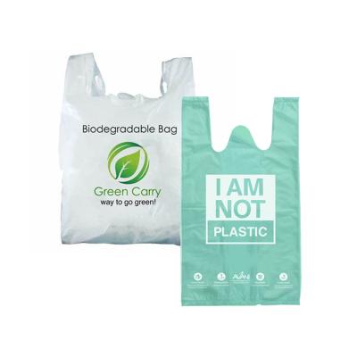 China Recyclable Compostable Biodegradable Packaging Pla Bags Small Eco Friendly PLA Bag for sale