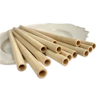 China Hot Sale 100% Disposable Buy 12mm Natural Organic Bamboo Fiber Straws Set for sale