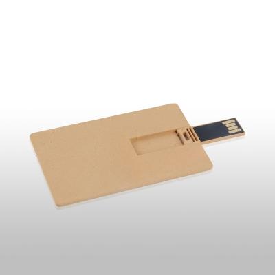 China New Eco-friendly Custom Logo U Disk Card Paper Business Credit Card USB Flash Drive Flash Memory Card for sale