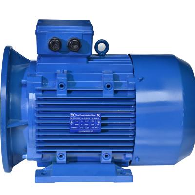 China Premium Efficiency Three Phase Electric Induction Motor Totally Enclosed With Housing 22kw 30hp Cast Iron 2pole for sale