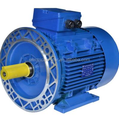 China HM4 YE4 Totally Enclosed Electric Motor 220v For Compressor Low rpm30KW for sale