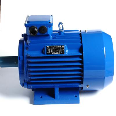 China Totally Enclosed 120 Hp Electric Motor 90kw 6 Pole Asynchronous Induction Motor for sale