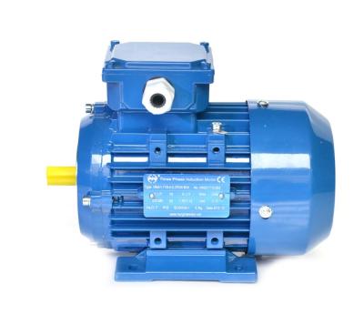 China High Quality MS Current Series IE1 Electric Motor Dirrect Totally Enclosed Asynchronous Induction Motor 15kw for sale