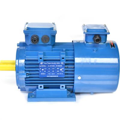 China Totally Enclosed Variable Speed ​​AC Electric Induction Inverter Motor For Conveyor Belt for sale