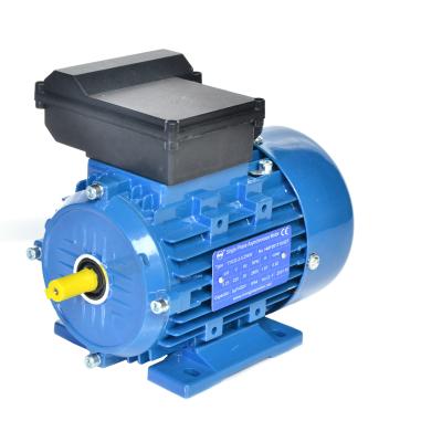 China HMC/YC Series Single Phase Totally Enclosed Electric Asynchronous Induction Motor (CO2) 110v 3hp 3000rpm for sale