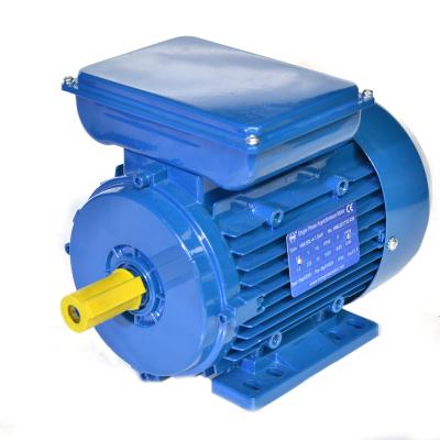 China Low Rpm Totally Enclosed Electric Motor 220v Single Phase AC Induction Motor For Compressor for sale