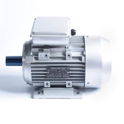 China Totally Enclosed Mini Electric Motor 220v 5hp 2 Pole Single Phase AC Pump Motor for sale