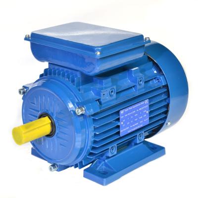 China YL 7124 Single Phase AC Motor Asynchronous Electric Motor Totally Enclosed 1500rpm for sale