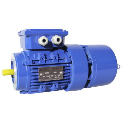 China Totally Enclosed Three Phase 370w 2pole AC Electric Magnetic Brake Motor for sale