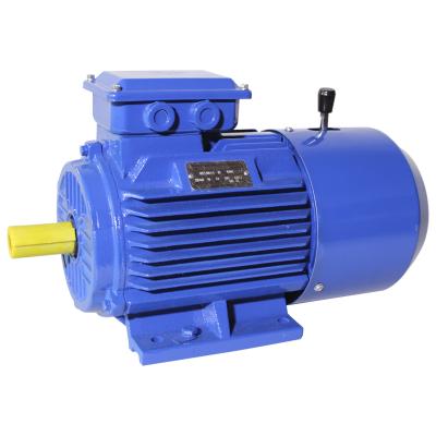 China Totally Enclosed Motor 6 Compact Structure DC Brake Induction Electric Asynchronous Poles 5500w for sale