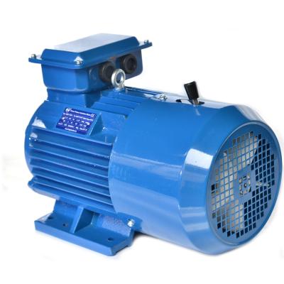 China Totally Enclosed DC Brake Induction Three Phase Electric Motor 4 Poles 15kw for sale