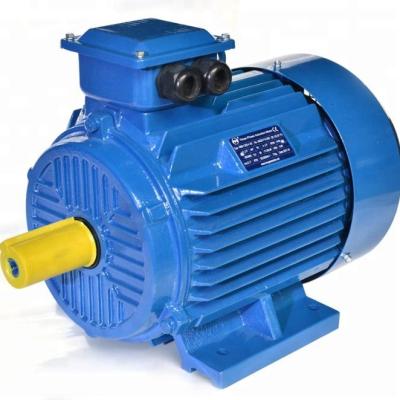 China Totally Enclosed Electric Motor 22kw 2 Pole 3 Phase AC Induction Motor for sale