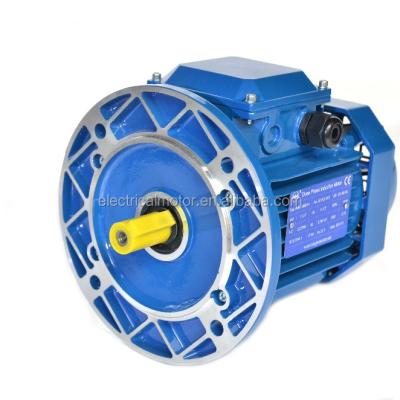 China Totally Enclosed Three Phase Y Series 15kw Squirrel Cage Electric Motor for sale