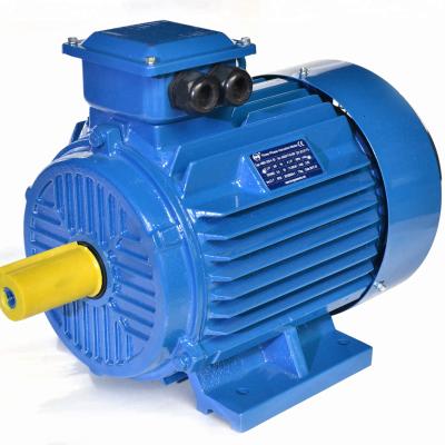 China Y2 Series Totally Enclosed 1450RPM 3 Phase AC Induction Electric Motor 22kw for sale