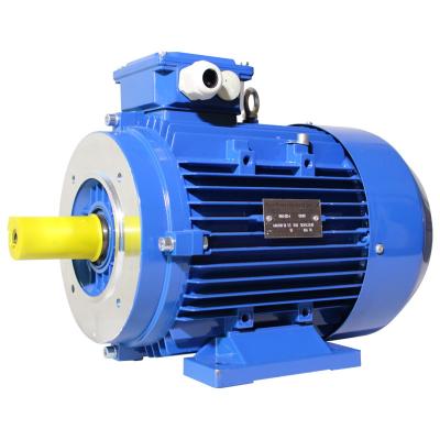 China Totally Enclosed 295 Hp Induction Motor 3000rpm Electric Asynchronous Motor With B3 B5 B35 Mounting Types for sale