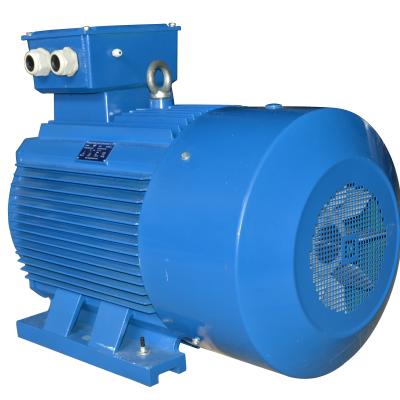 China AC Motor 50kw 2 Three Phase Electric Pole OEM Fully Enclosed Asynchronous Induction Motor for sale