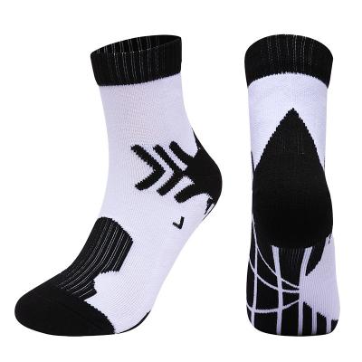 China Breathable Customized Combed Cotton Padded Sports Socks Basketball Socks for sale