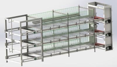 Cina Cage per polli OEM Cage per polli che depongono le uova in vendita