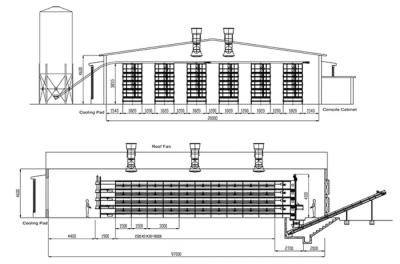 Chine Système ISO de cage de poulet pour poulets de chair Cage de poulet personnalisée pour l'élevage de volailles à vendre