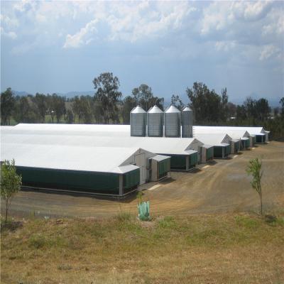 China Saldado Cerrojo Metal Chicken Coop Equipo de la granja de la casa Certificado CE en venta