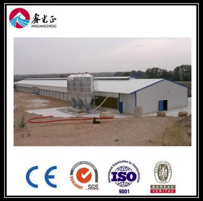 China CE Broiler Chicken Cage System Pan Feeding System Voor pluimveehouderij Te koop