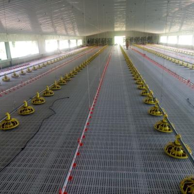 China Plastic Poultry Rearing  for Optimal Performance in Poultry Farming for sale