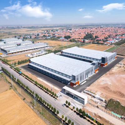 China Steel Building Structure Longer Lifespan And Construction Prefabricated Building for sale