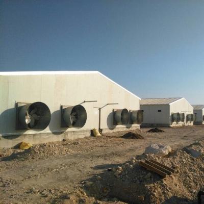 China Customized Gable Roof Prefab Poultry House With Insulation Panels for sale