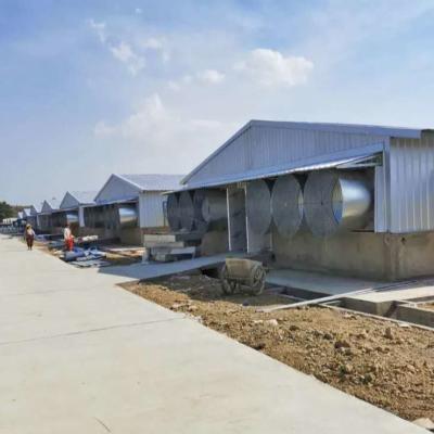 China Durable Weatherproof Steel Steel House / Poultry Steel Building for sale