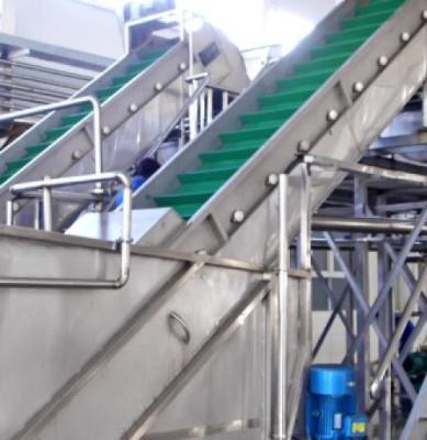 China Large Capacity Clapboard Elevating Conveyor Commercial Food Processing Equipment for Vegetable for sale