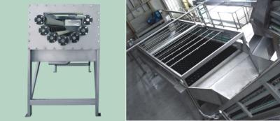 China Equipamento de processamento vegetal do metal industrial do alimento para a linha vegetal alta velocidade à venda