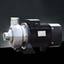 China Industrial Stainless Steel Pump / Horizontal Single Stage Centrifugal Pumps for sale