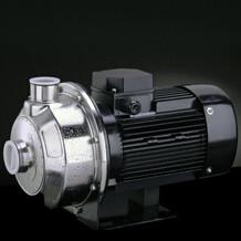 China Single Stage Stainless Steel Pump for Cooling Water , Domestic Supply , Agriculture for sale