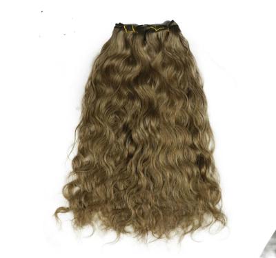 China Factory Direct Microroll Tape Natural Remy Hair Extensions Seamless Curly Hair Extensions Wigs for sale