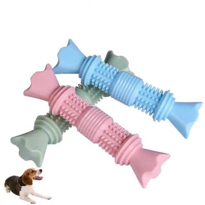 China New Dog Chew Toys Pet Chew Toy TPR Dog Viable Molar Tooth Toothbrush Products Pet Cleaning Stick for sale