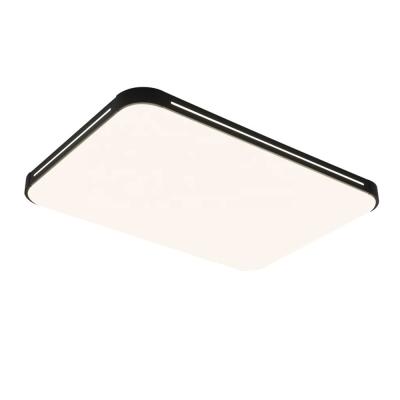 China APP Modern Led Ceiling Lamp Outdoor Mounted With Remote Control Square Acrylic Ceiling Lamp For Living Room Bedroom Kitchen Home Ceiling Lights for sale