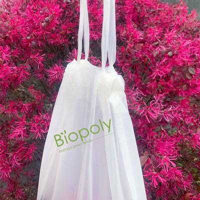 China Tearproof Compostable PLA Compostable Disposable Drawstring PBAT Clean Gabege Bag On Roll for sale