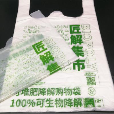 China American style PLA compostable shopping bags for boutique wholesale for sale